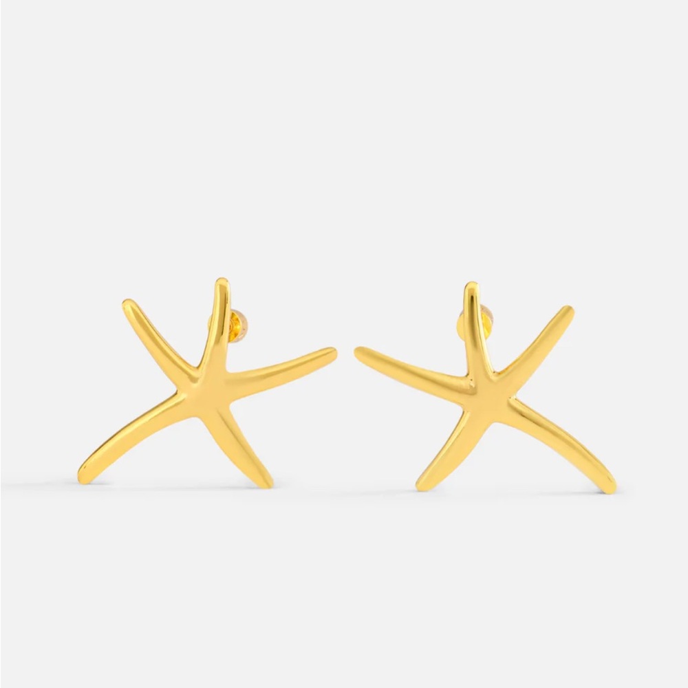 Aureum earrings like new